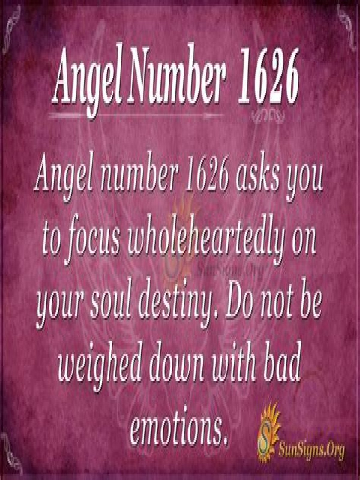 
ANGEL NUMBER 1626
