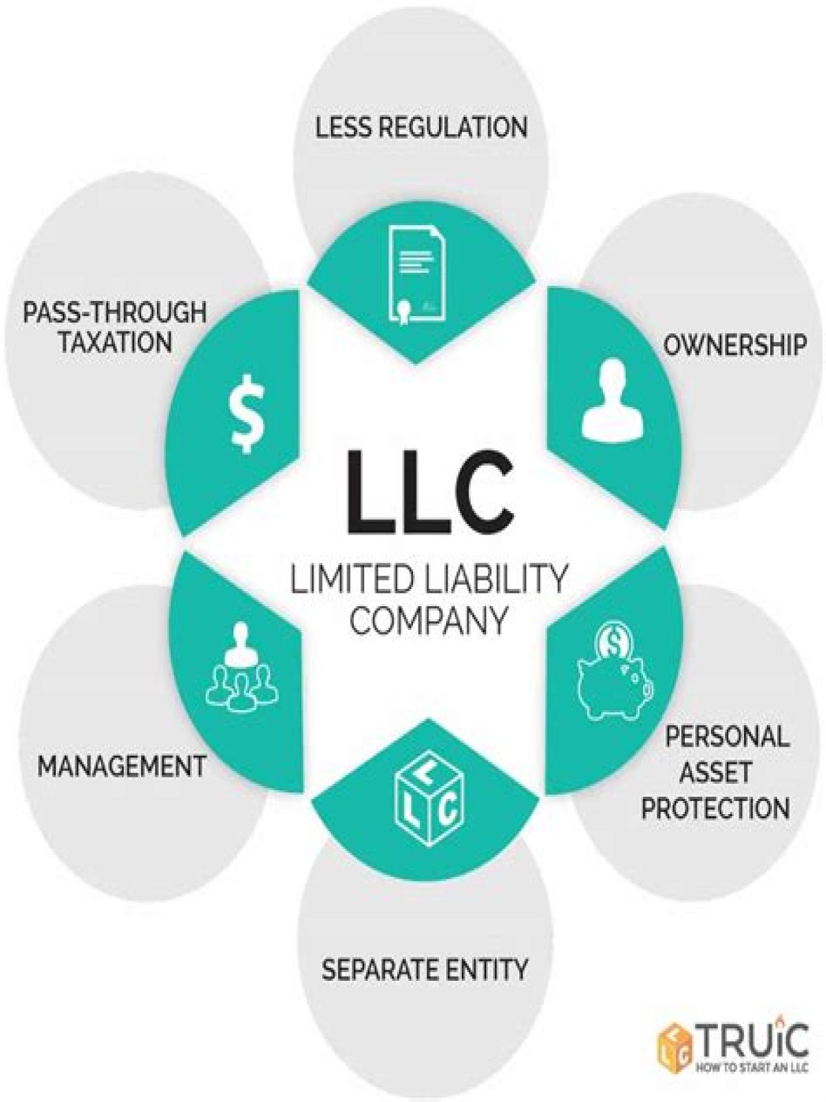 Can a LLC be considered an employee of the company?