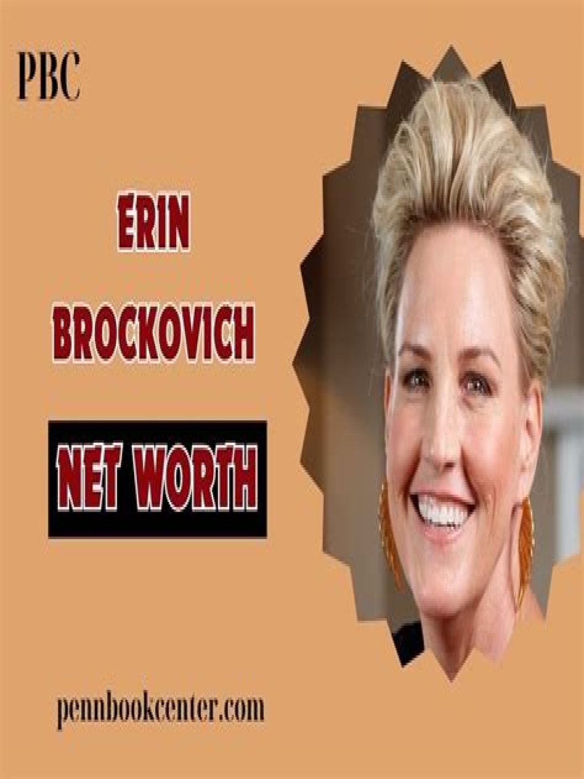 Erin Brockovich Net Worth, Income, Salary, Earnings, Biography, How much money make?