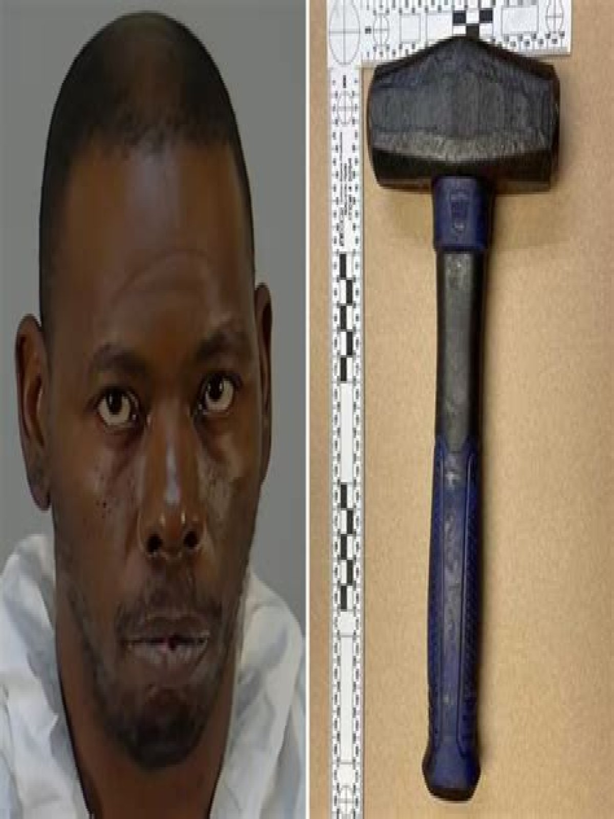 Horrifying details emerge after husband 'BLUDGEONS wife & stepson to death with hammer before raping witness in trailer'