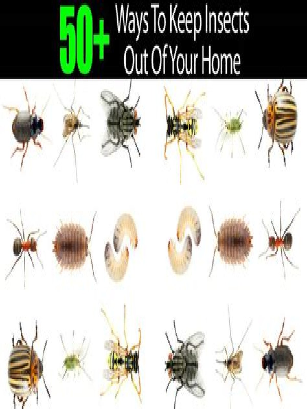 How do I keep bugs out of my room at night?