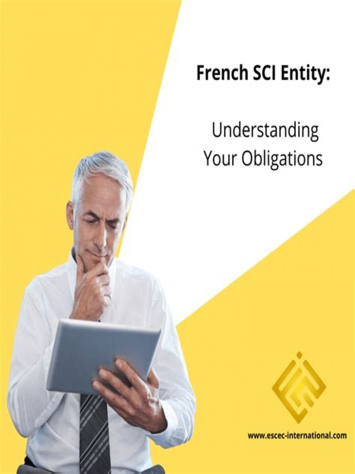 Is a French SCI a partnership?