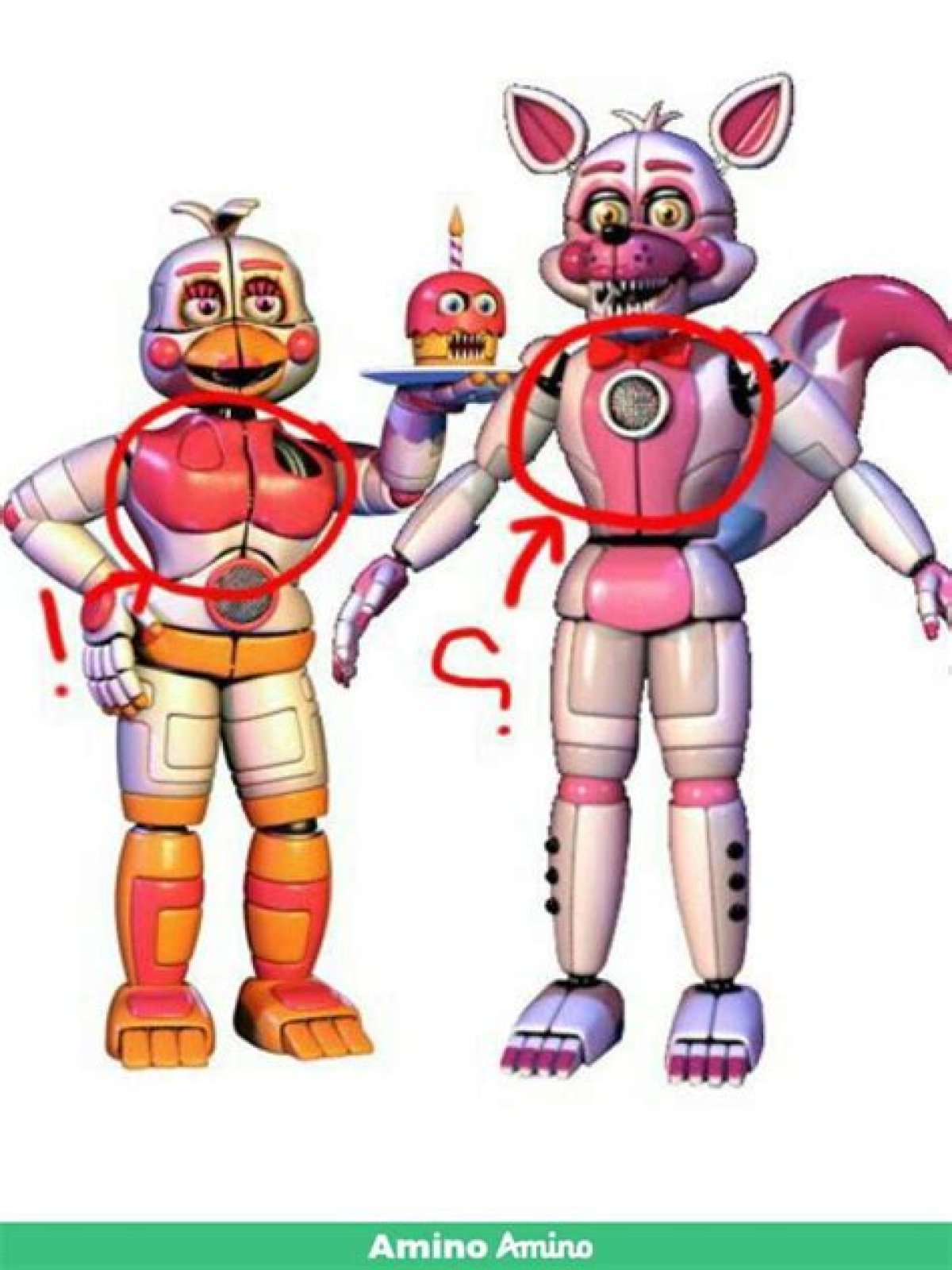 Is Foxy a boy or girl?