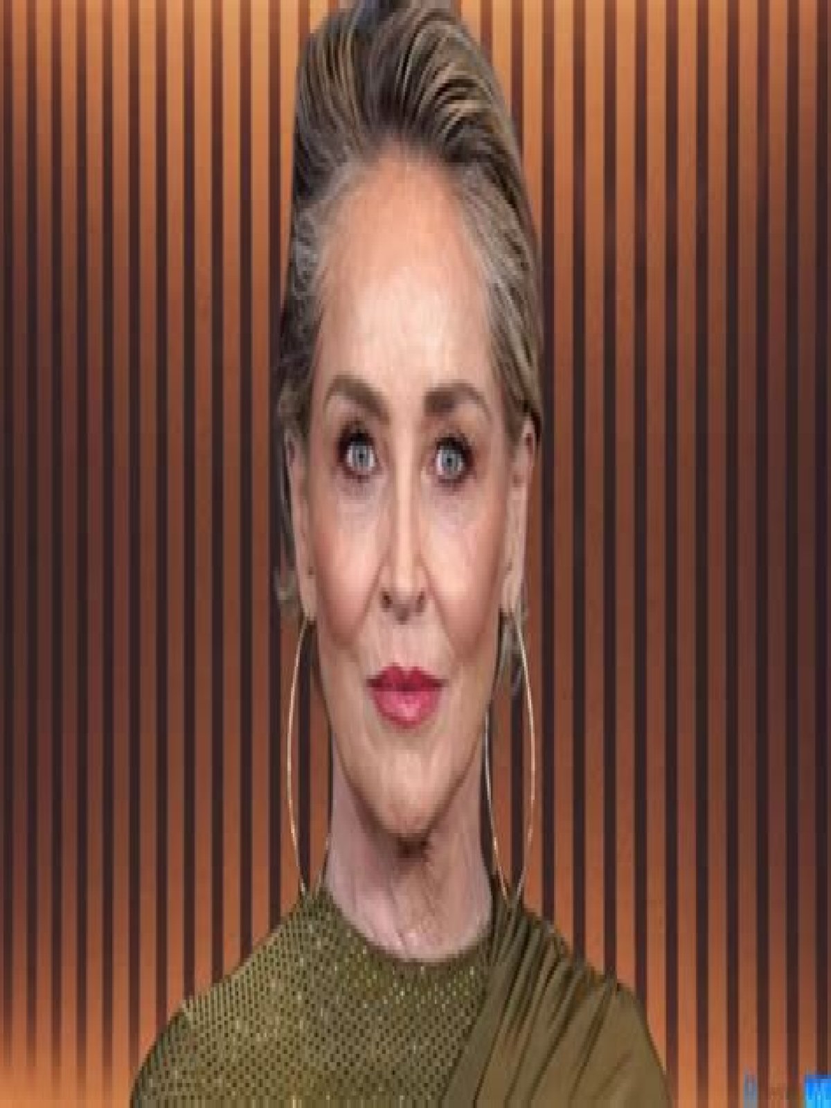 Sharon Stone Net Worth in 2023 How Rich is She Now?