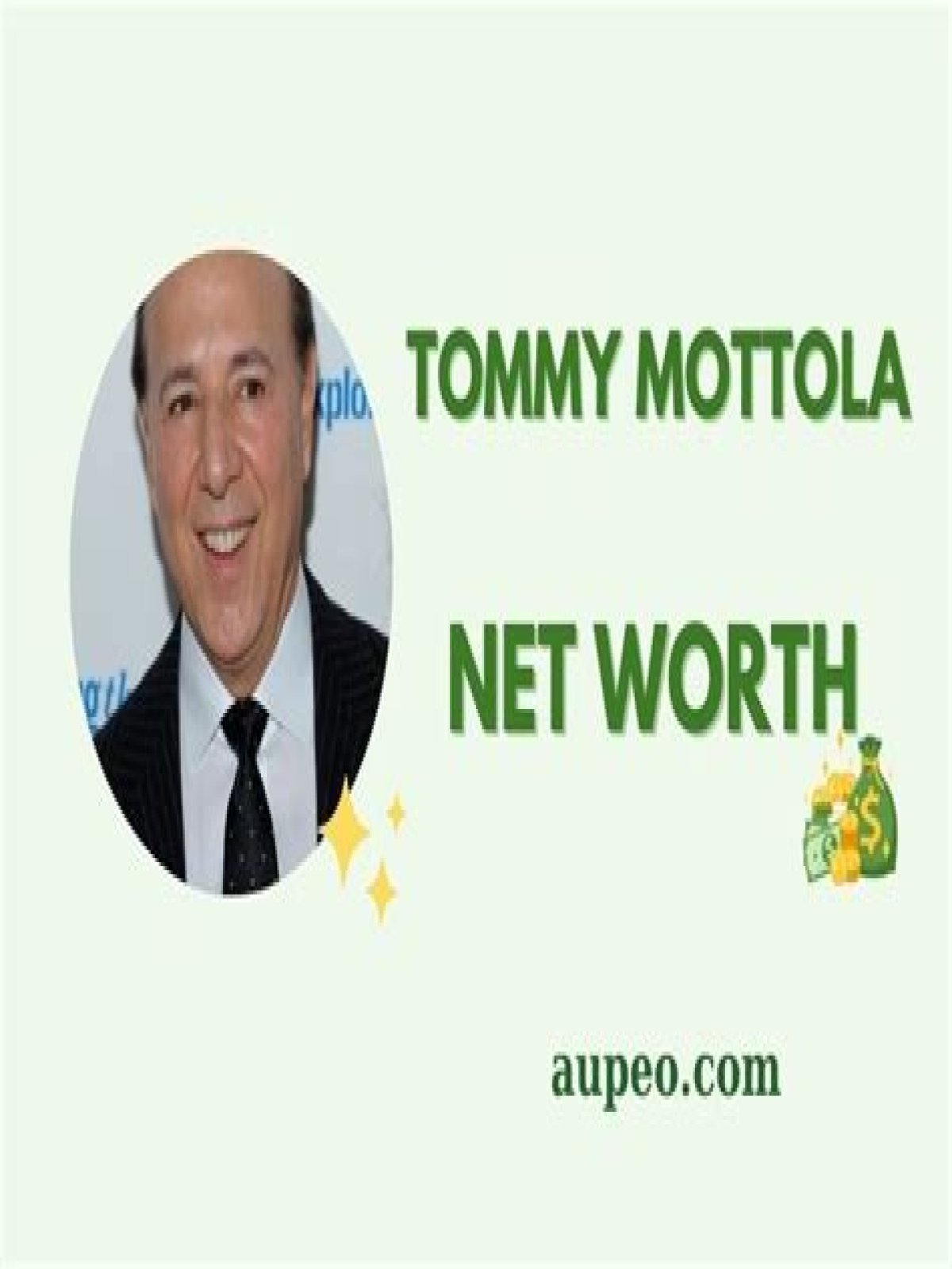 Tommy Mottola Net Worth, Income, Salary, Earnings, Biography