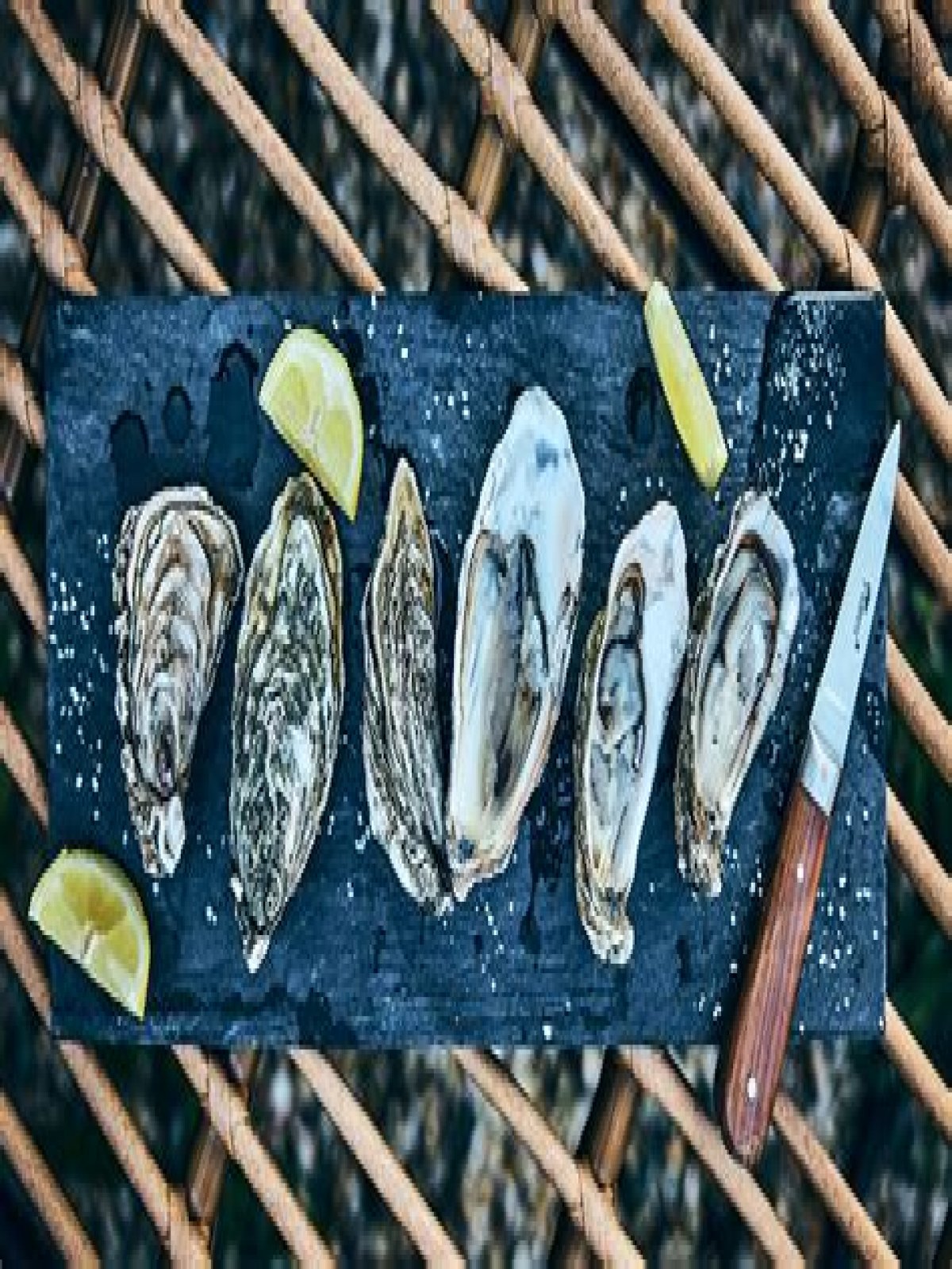 Waar Smaken Oesters Naar? (Best solution)