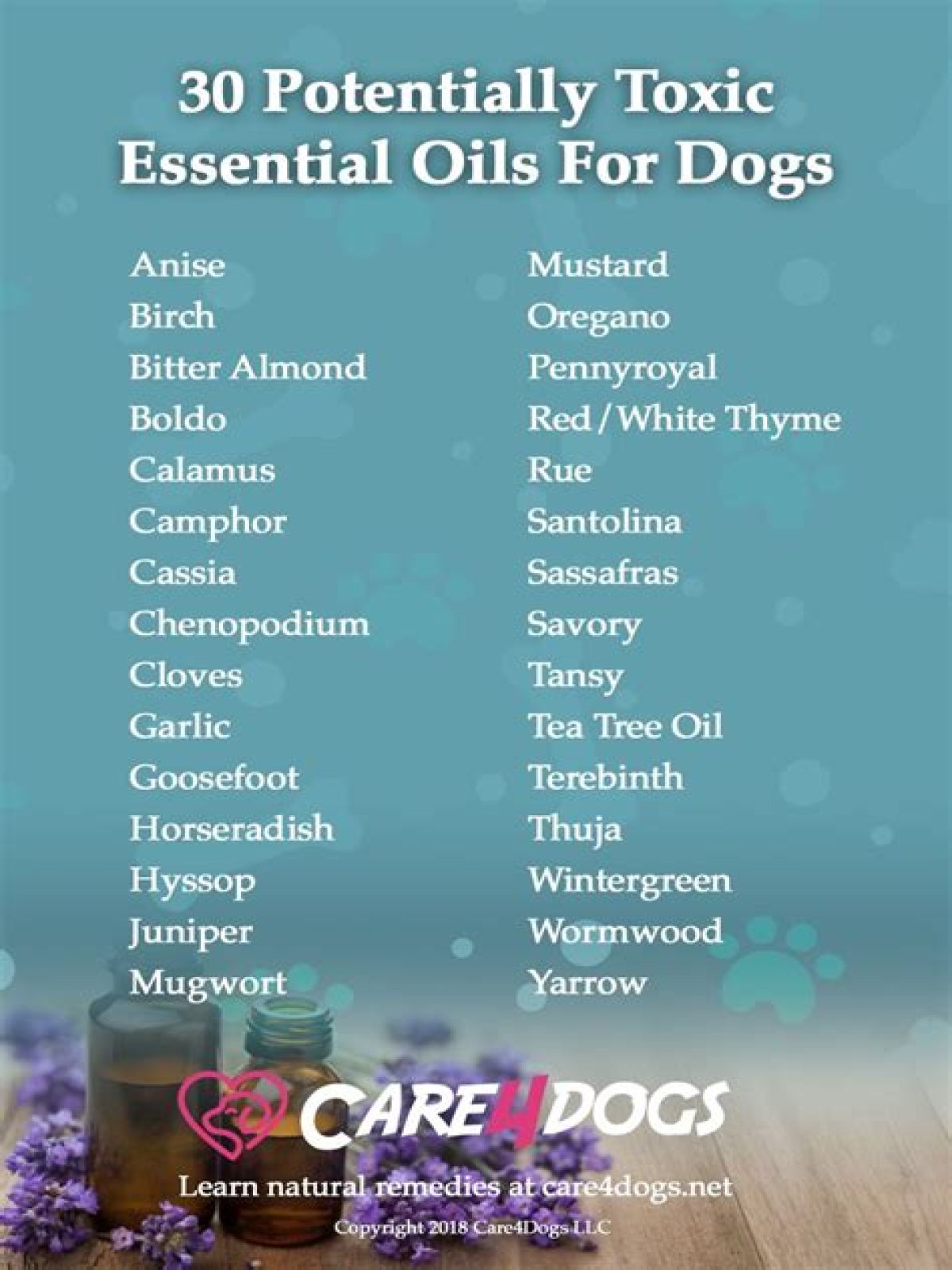 what essential oils are bad for dogs