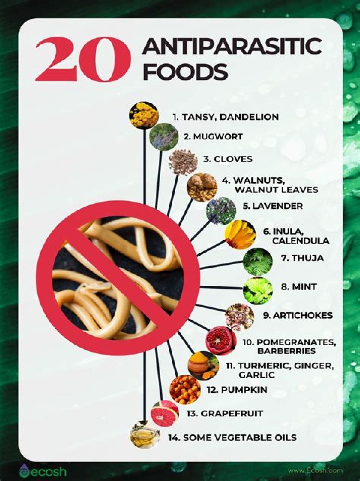 What meats have parasites?