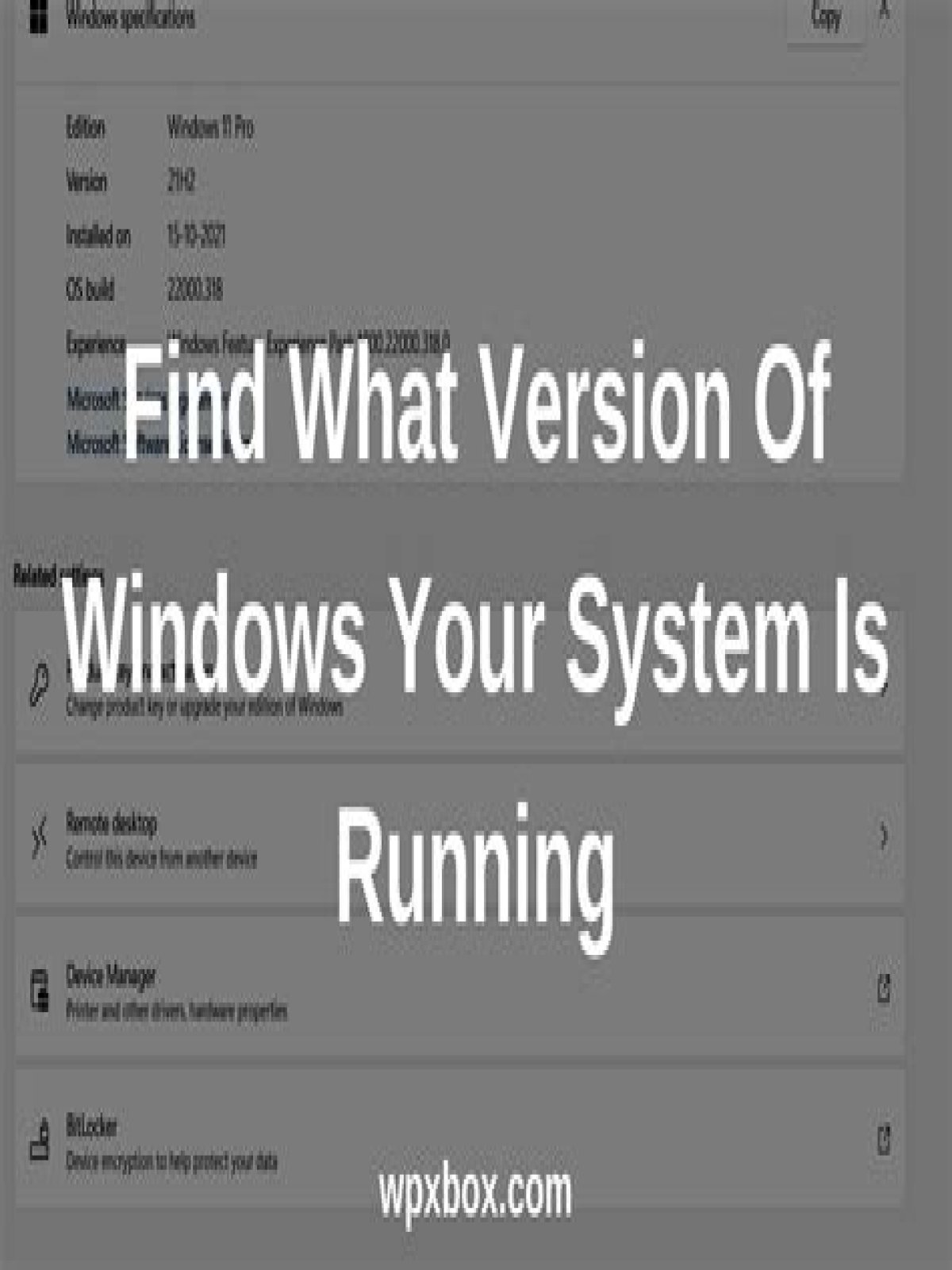 what version of windows do i have
